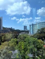 Kings Centre (D3), Office #555568931